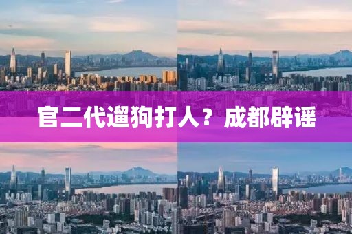 官二代遛狗打人？成都辟谣