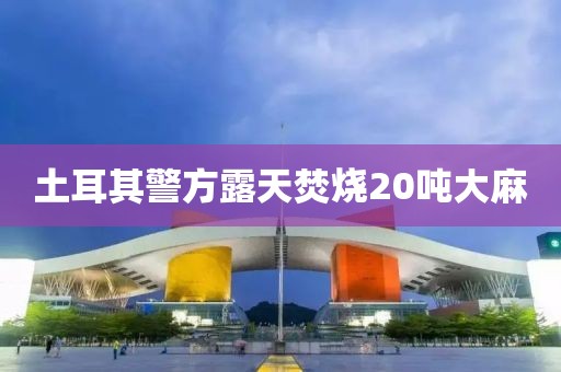 土耳其警方露天焚烧20吨大麻