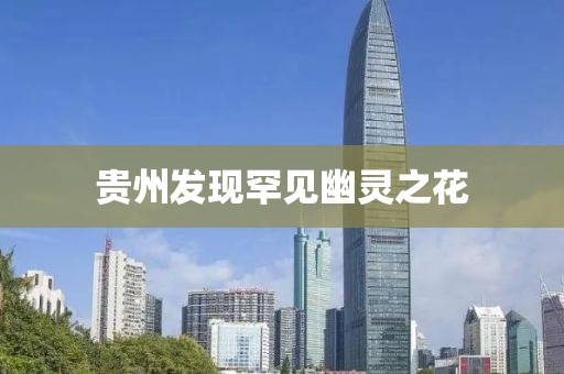 贵州发现罕见幽灵之花