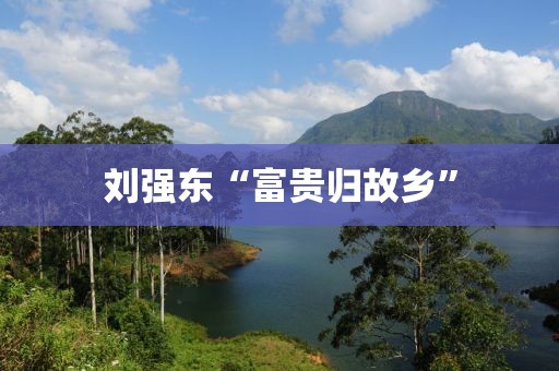 刘强东“富贵归故乡”