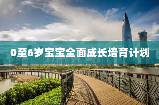 0至6岁宝宝全面成长培育计划
