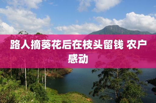 路人摘葵花后在枝头留钱 农户感动