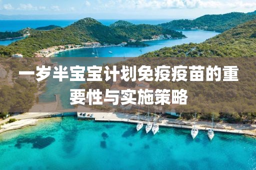 一岁半宝宝计划免疫疫苗的重要性与实施策略