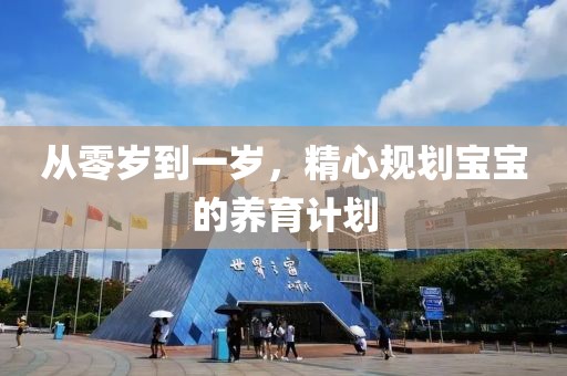 从零岁到一岁，精心规划宝宝的养育计划