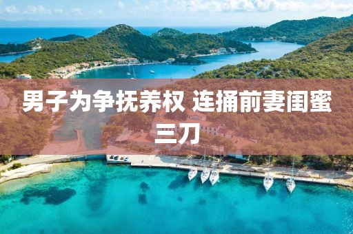 男子为争抚养权 连捅前妻闺蜜三刀