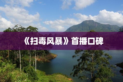 《扫毒风暴》首播口碑