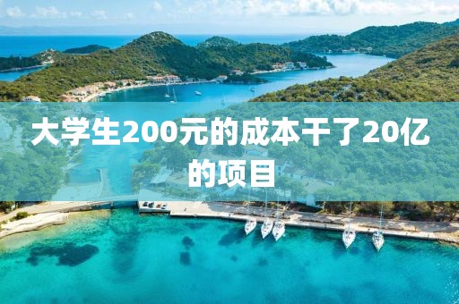 大学生200元的成本干了20亿的项目