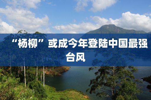 “杨柳”或成今年登陆中国最强台风