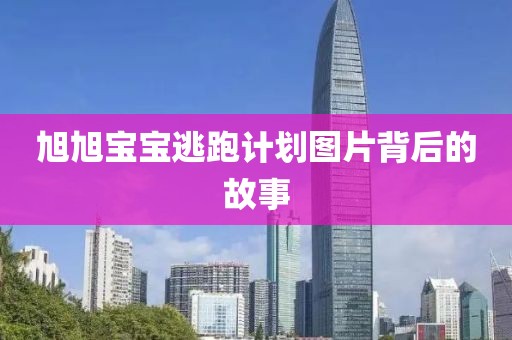 旭旭宝宝逃跑计划图片背后的故事