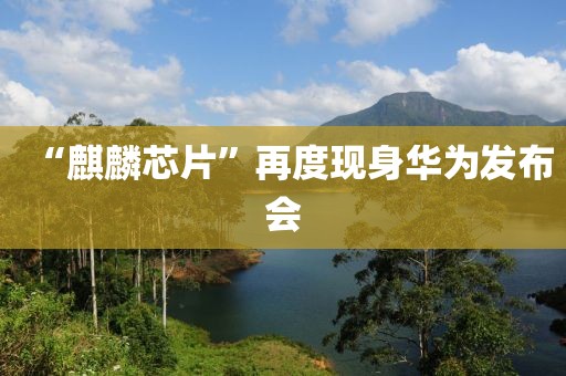 “麒麟芯片”再度现身华为发布会