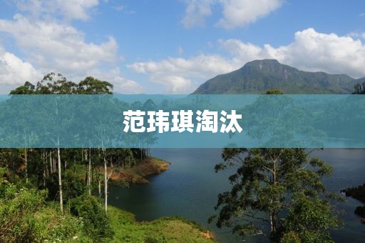 范玮琪淘汰