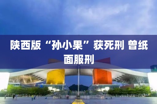 陕西版“孙小果”获死刑 曾纸面服刑