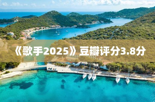 《歌手2025》豆瓣评分3.8分
