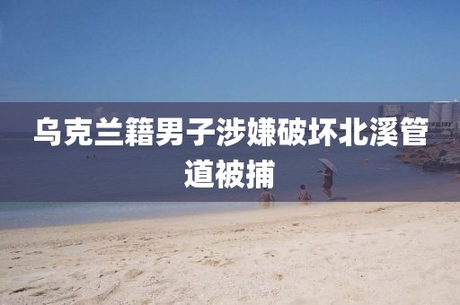 乌克兰籍男子涉嫌破坏北溪管道被捕
