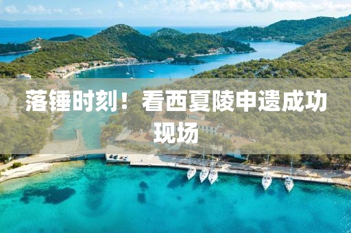 落锤时刻！看西夏陵申遗成功现场
