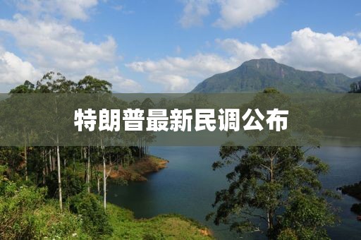 特朗普最新民调公布
