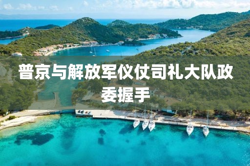 普京与解放军仪仗司礼大队政委握手
