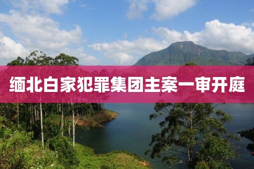 缅北白家犯罪集团主案一审开庭
