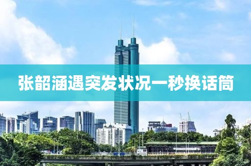 张韶涵遇突发状况一秒换话筒