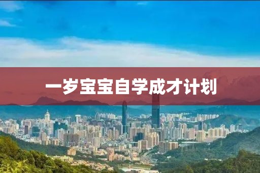 一岁宝宝自学成才计划