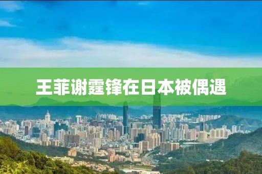 王菲谢霆锋在日本被偶遇