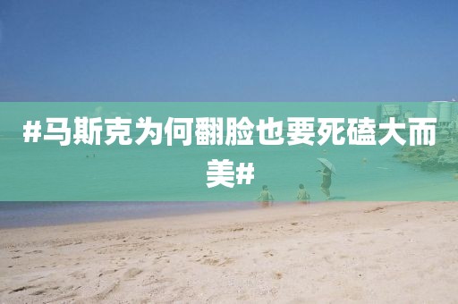 #马斯克为何翻脸也要死磕大而美#