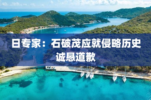 日专家:石破茂应就侵略历史诚恳道歉