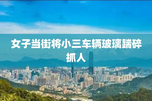 女子当街将小三车辆玻璃踹碎抓人