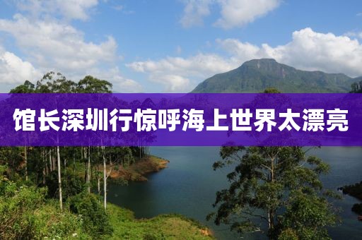 馆长深圳行惊呼海上世界太漂亮