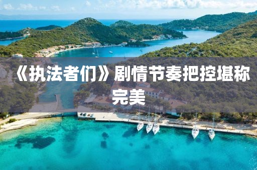 《执法者们》剧情节奏把控堪称完美