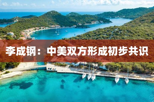 李成钢:中美双方形成初步共识