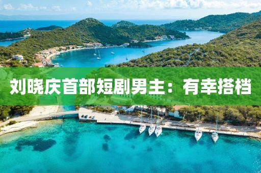 刘晓庆首部短剧男主：有幸搭档