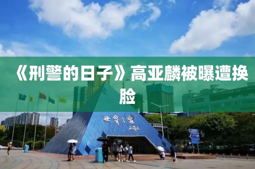 《刑警的日子》高亚麟被曝遭换脸