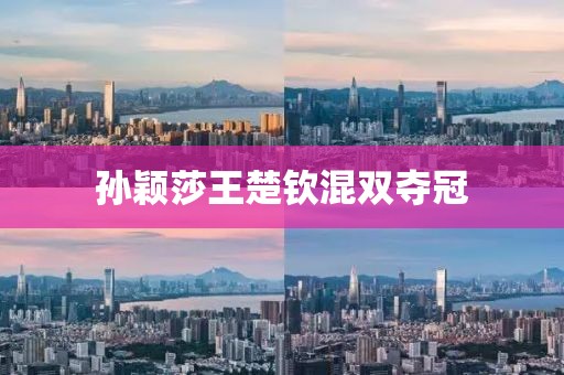 孙颖莎王楚钦混双夺冠