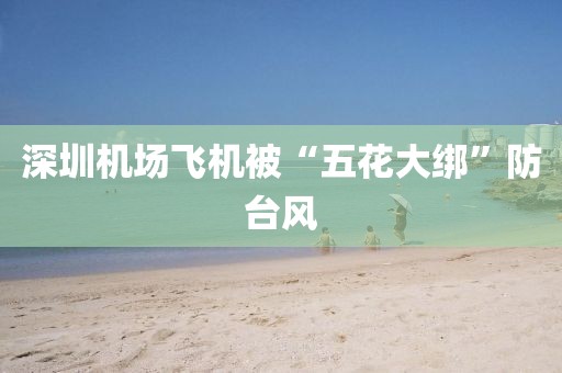 深圳机场飞机被“五花大绑”防台风