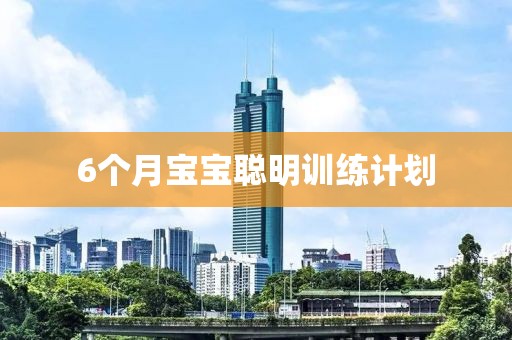 6个月宝宝聪明训练计划