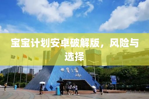 宝宝计划安卓破解版，风险与选择