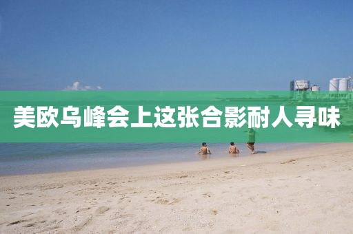 美欧乌峰会上这张合影耐人寻味