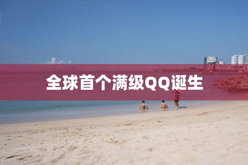 全球首个满级QQ诞生