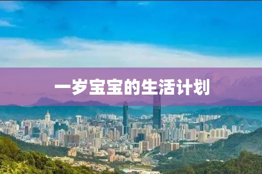 一岁宝宝的生活计划