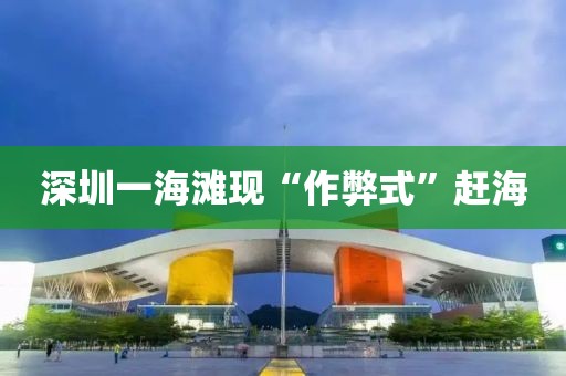 深圳一海滩现“作弊式”赶海