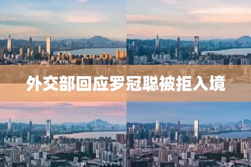 外交部回应罗冠聪被拒入境