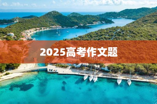 2025高考作文题