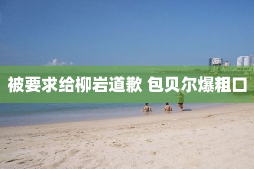 被要求给柳岩道歉 包贝尔爆粗口