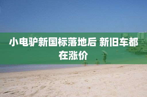 小电驴新国标落地后 新旧车都在涨价