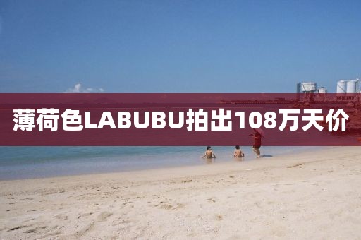 薄荷色LABUBU拍出108万天价