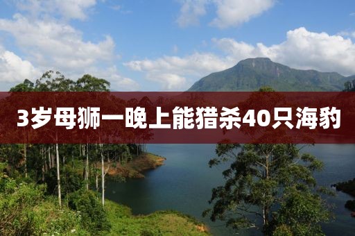 3岁母狮一晚上能猎杀40只海豹