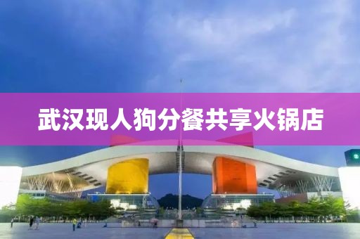 武汉现人狗分餐共享火锅店