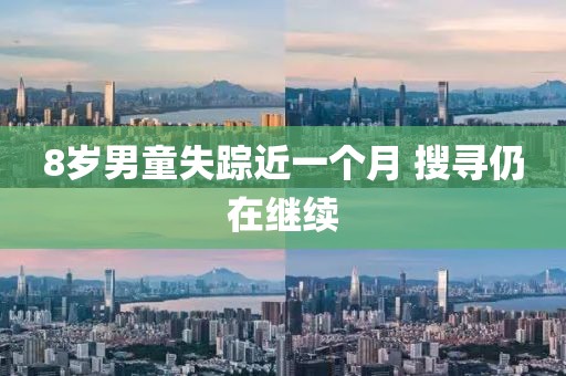 8岁男童失踪近一个月 搜寻仍在继续