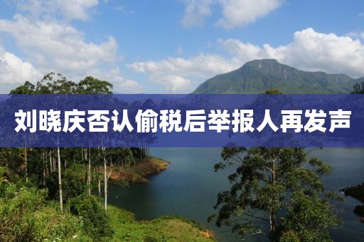 刘晓庆否认偷税后举报人再发声